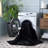 Seppala Performance Machine Washable Solid Color Rug-524882246