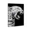 Leopard Roar Print by Oliver Gal-742875020-742875026