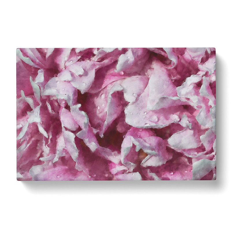 Beautiful Pink Carnation Petals Painting - Wrapped Canvas, 35cm H x 50cm W x 3cm D