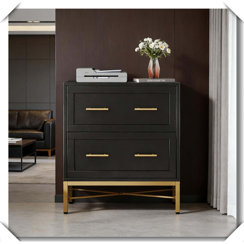 Office File Cabinet Sleek Design Durable Steel Frame Storage, Black
