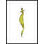 Lumine Figure 3 Print-490262614