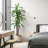 Faux Banana Leaf Tree-596321913