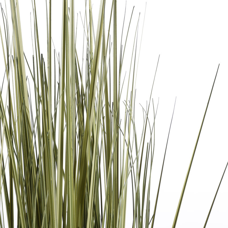 Faux Reed Grass in Pot, 145cm H x 50cm W x 50cm D