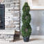 Topiaire en buis vert 4 pi Vickerman-731724902