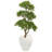 43'' Faux Bonsai Tree in Earthenware Planter