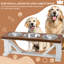 Mangeoire surélevée pour animaux de compagnie 3 bols-44350785-47427469