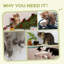 Zakary 200.66cm H Cat Tree-2126500263