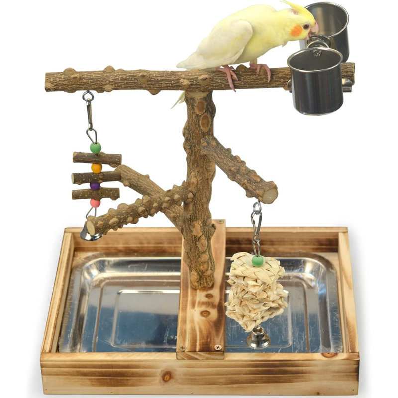Perchoirs de jeu / oiseaux en bois naturel