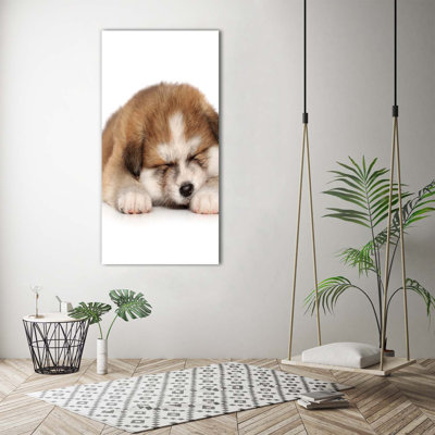 Small Cats - Wrapped Canvas Print