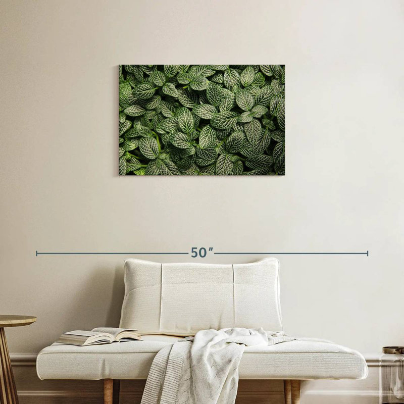 Harnek plante nerveuse verte, H 20 po x l 30 po