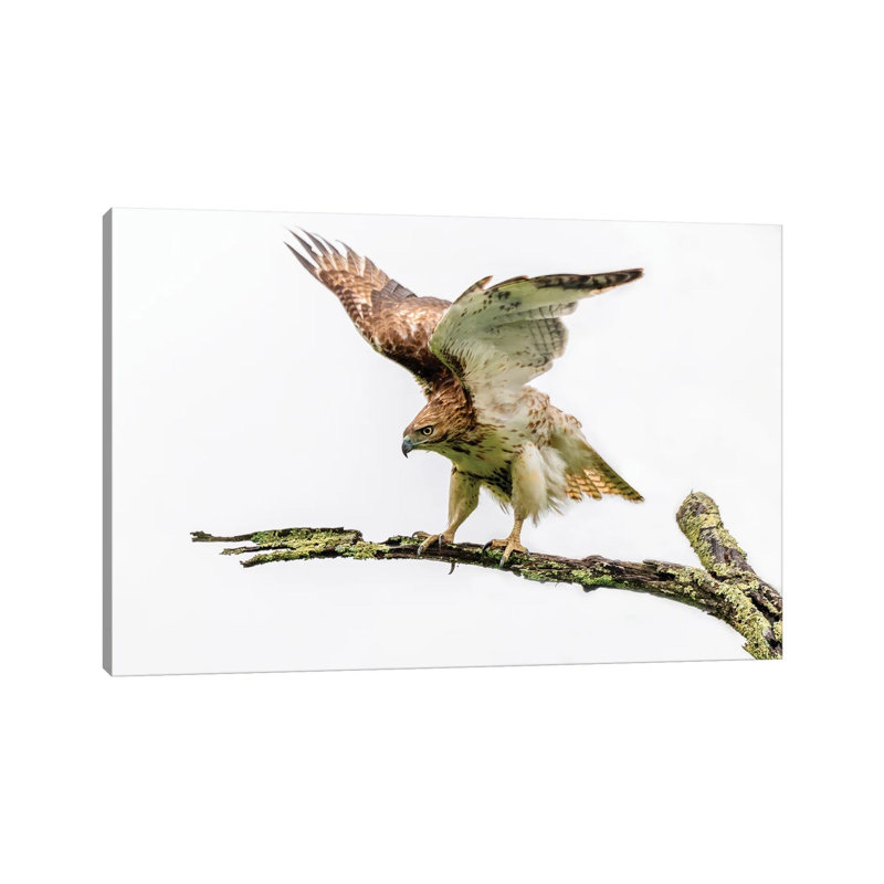 Stretch 1 Piece Wrapped Canvas Wall Art, 45.72cm H x  66.04cm W