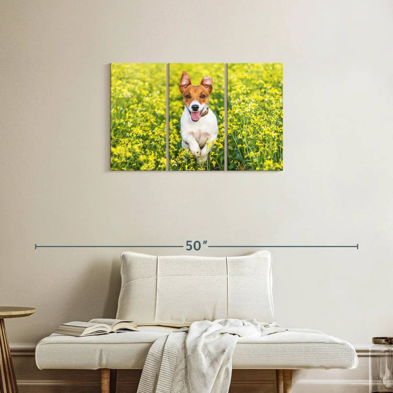 Brampt Happy Jack Russell, H 20 po x l 33 po