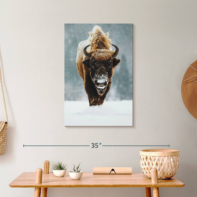 Impression sur toile Winter Buffalo, H 24 po x l 16 po x P 1,25 po
