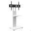 Tv Stand With Shelf-2142698322