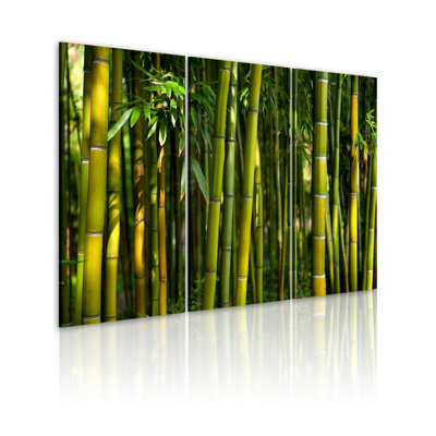 " Green Bamboo " 3 - Pieces