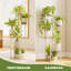 Reinaldos Plant Stand