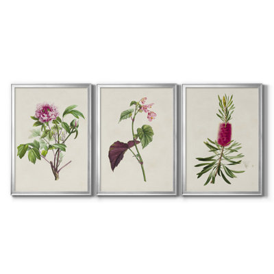 «Pretty Pink Botanicals V», reproduction encadrée de qualité supérieure - prête à être accrochée