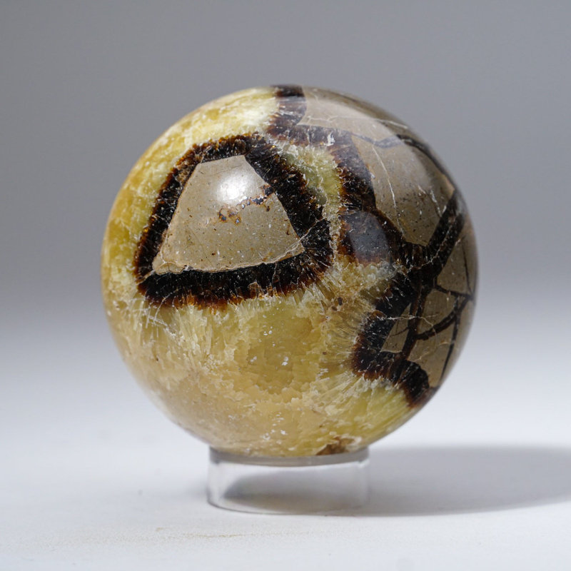 Sphère septarienne polie de Madagascar (1,2 lb)