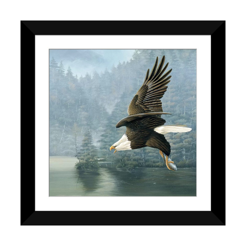 « flying eagle », impression sur toile, Papier d'art encadré noir, Blanc, H 24 po x l 24 po x P 1 po