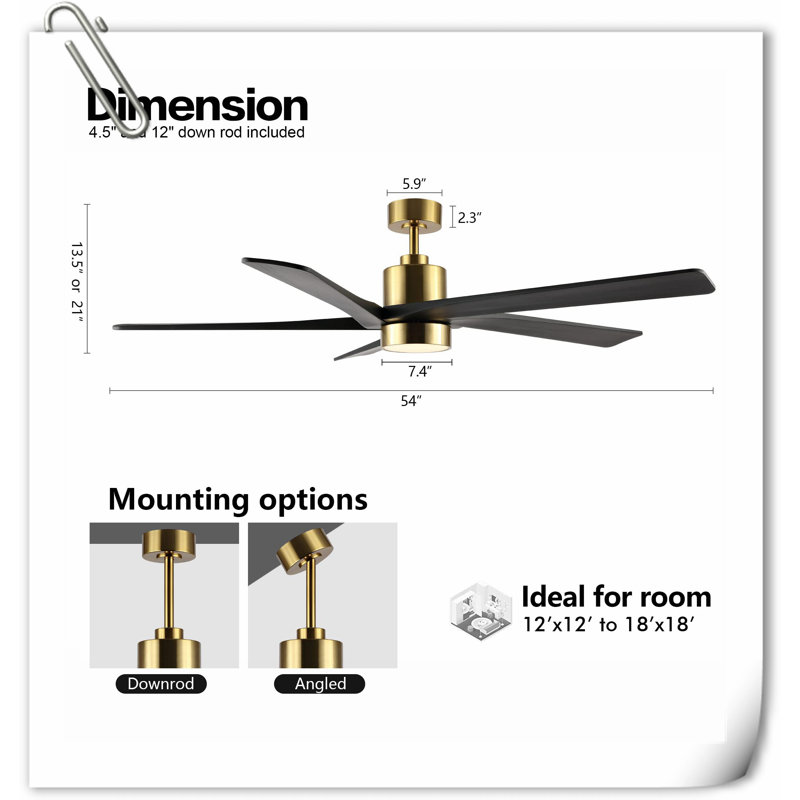 Museau Ceiling Fan with LED Lights, Black/Gold