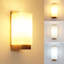 Flush Mounted Sconce