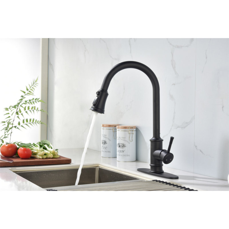 Single Handle High Arc Brushed Nickel Pull Out Kitchen Faucet,Single Level Stainless Steel Kitchen Sink Faucets With Pull Down Sprayer