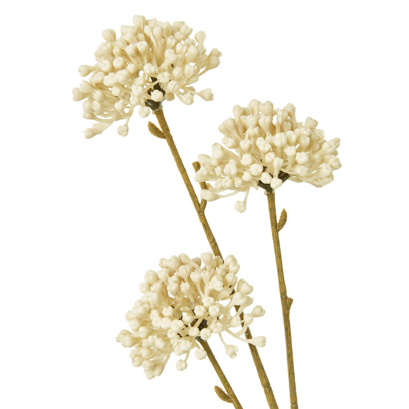 Arrangement, Cream
