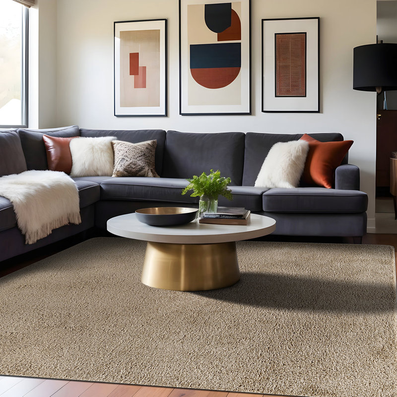Tapis d'intérieur lavable, Rectangle 6' x 9', Beige