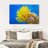 Brampt Yellow Feather Starfish-107847536