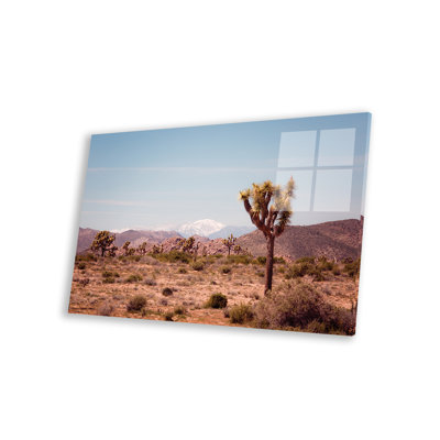 Joshua Tree II par Ann Hudec