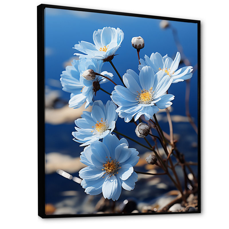 Fleurs, marguerite céleste noire - impression sur toile florale, H 32 po x l 16 po x P 1 po, Cadre flottant noir