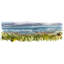 Kalaloch Print by Hoang, Van