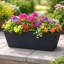 Bini Window Box, Contemporary Concrete Effect Plant Pot, Outdoor Windowsill Planter with Drainage Plug-166005201-166005205