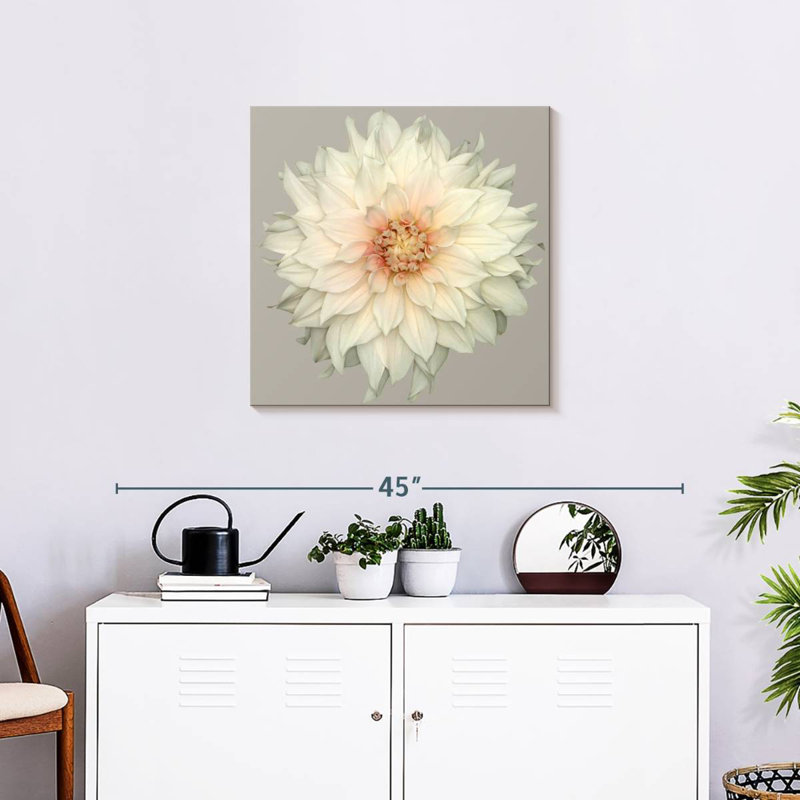 Harnek Blooming Dahlia