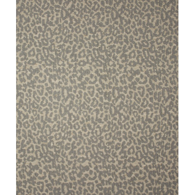 Piracy Fabric