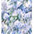 Blue Lace Agate