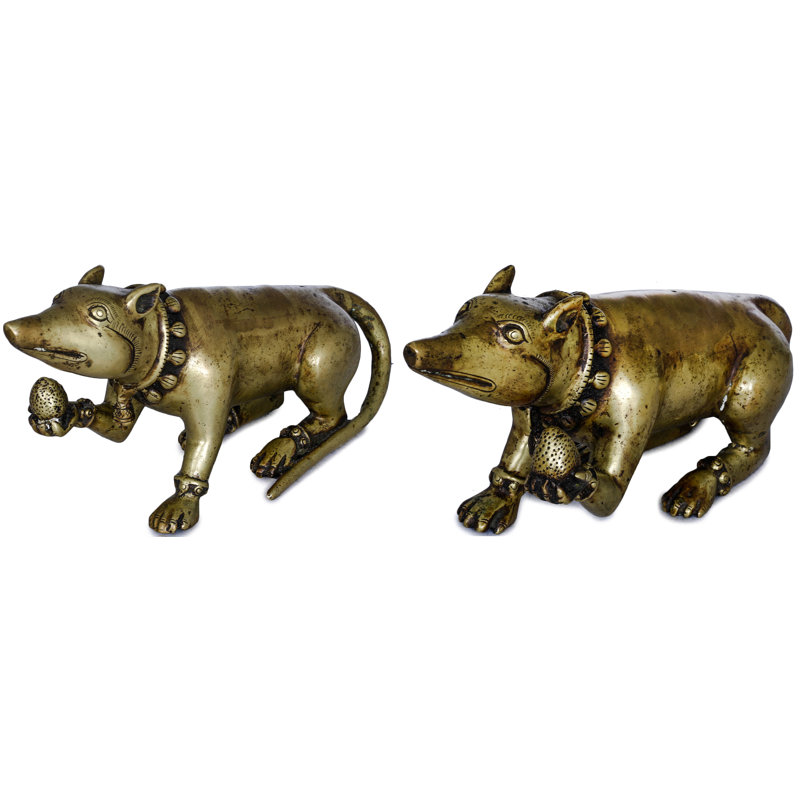 4 po d'un couple de souris mâle-femelle