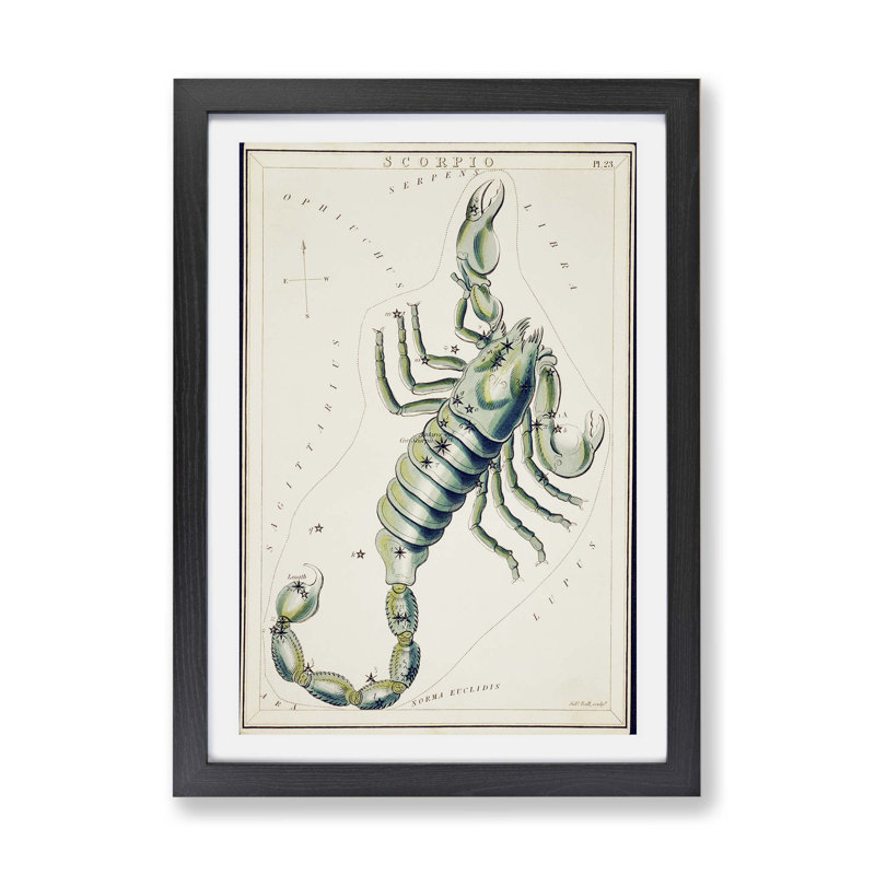 Astronomical Zodiac Chart Of The Scorpio - Single Picture Frame Print, Black, 33cm H x 45cm W x 2cm D