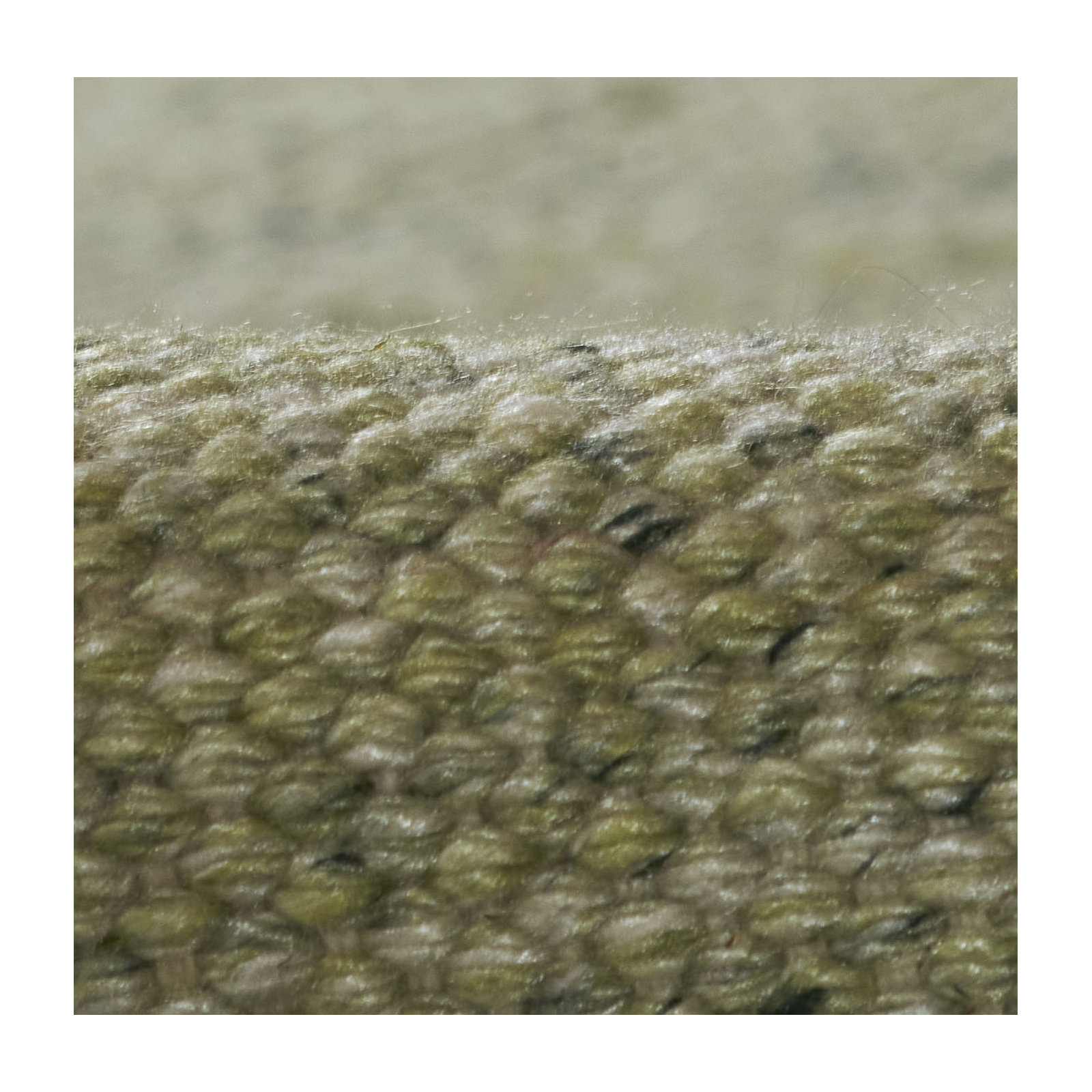 Cassandra Hand Woven Modern Indoor Outdoor Green Rug 2'3" X 8' Runner, Rectangle 10' x 14'