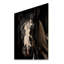 Cheval blanc noir sérénité II sur bois-333025927