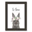 Le lapin est courage-48163492-48169697