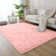 Alaunna Standard Shag Area Rug