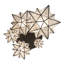 Moravian Star 5 - Light Pendant