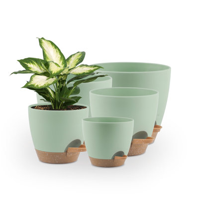 5 pots de plantes à arrosage vert 5-7 pouces