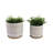 Ceramic Saucer Planters With Textured Circular Design, Durable Modern Accent Planter Pots, Contemporary Style Containers For Indoor Decor, Set Of 2-913906409