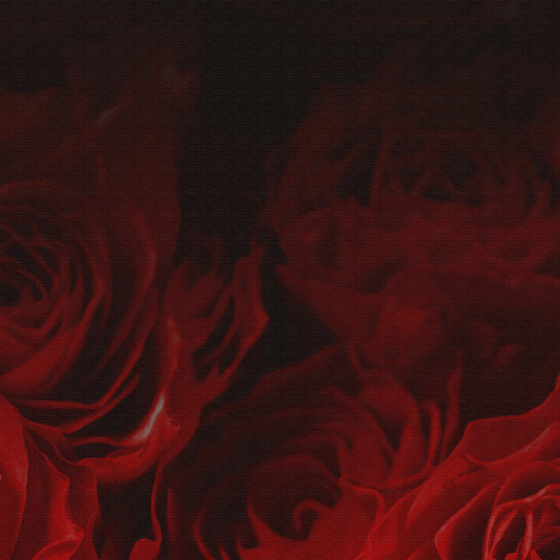 Bed Of Roses - Print on Canvas, 100cm H x 150cm W x 2cm D