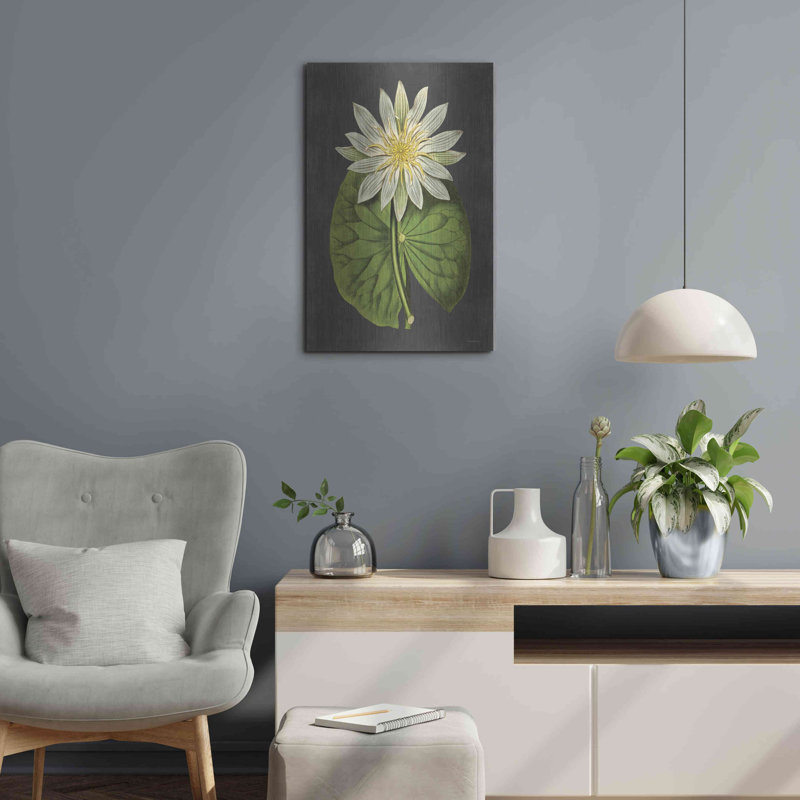 " Lily " by Lettered & Lined