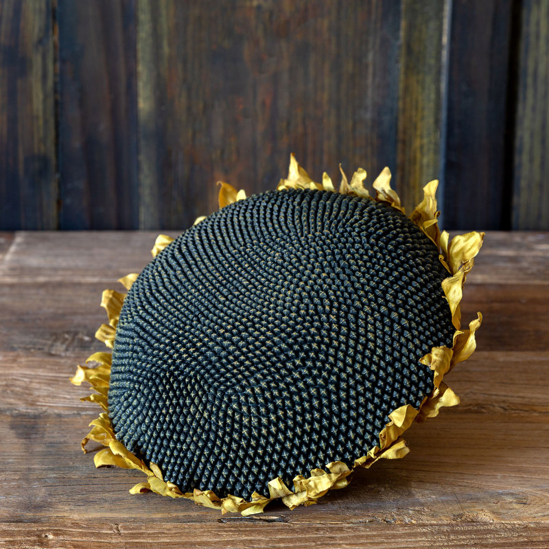 Sunflower Head