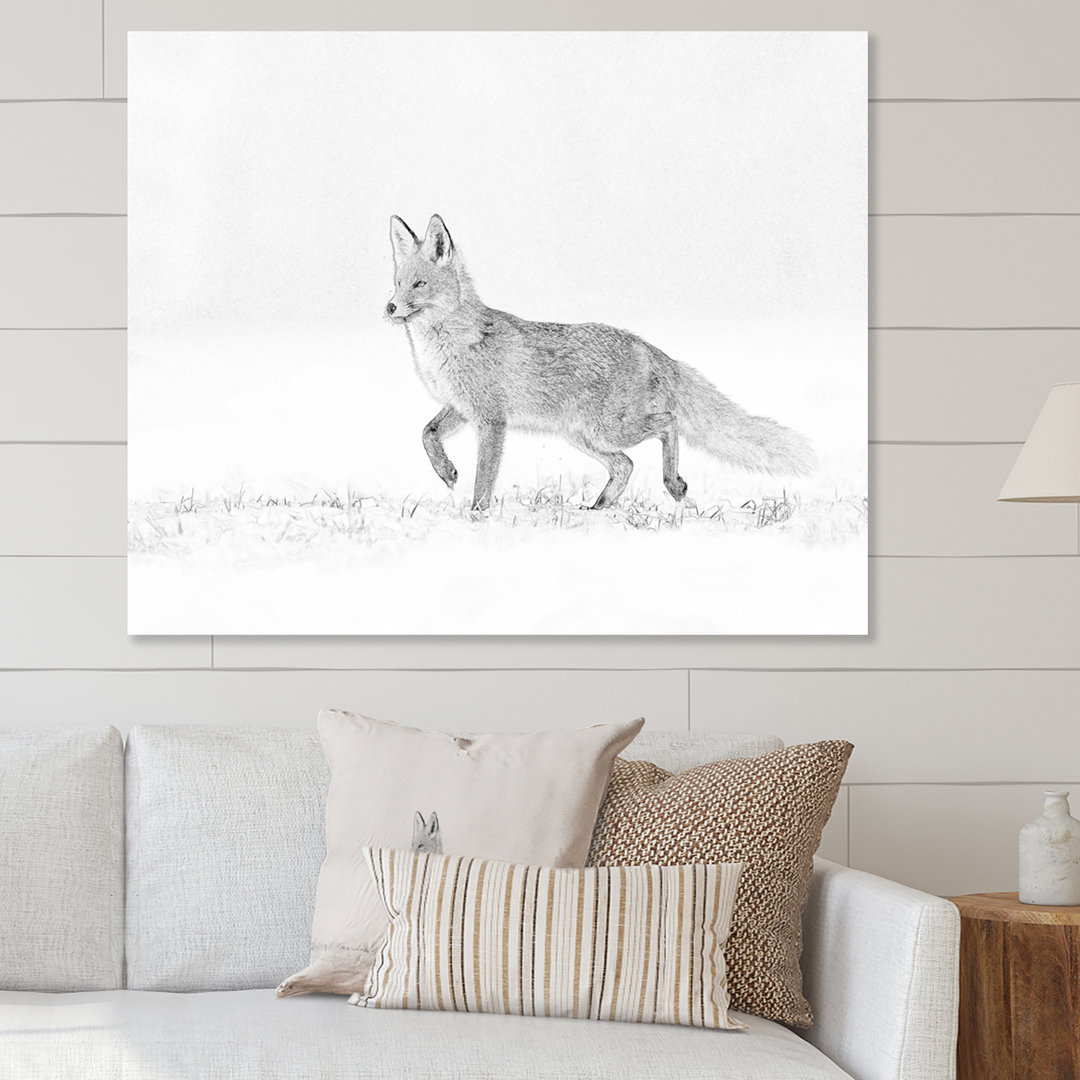 Black And White Fox Sketch In Winter " Black And White Fox Sketch In Winter " Millwood Pines 