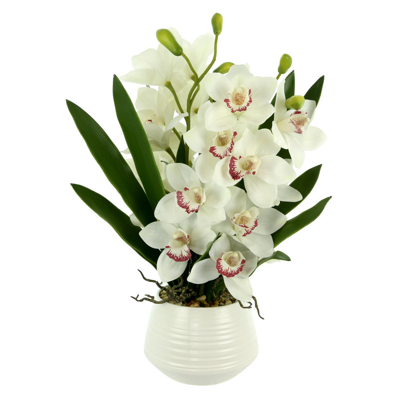 Orchid Arrangement with Rocks in a Ceramic Pot, White/Green
